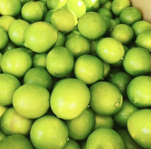 Tahitian Limes