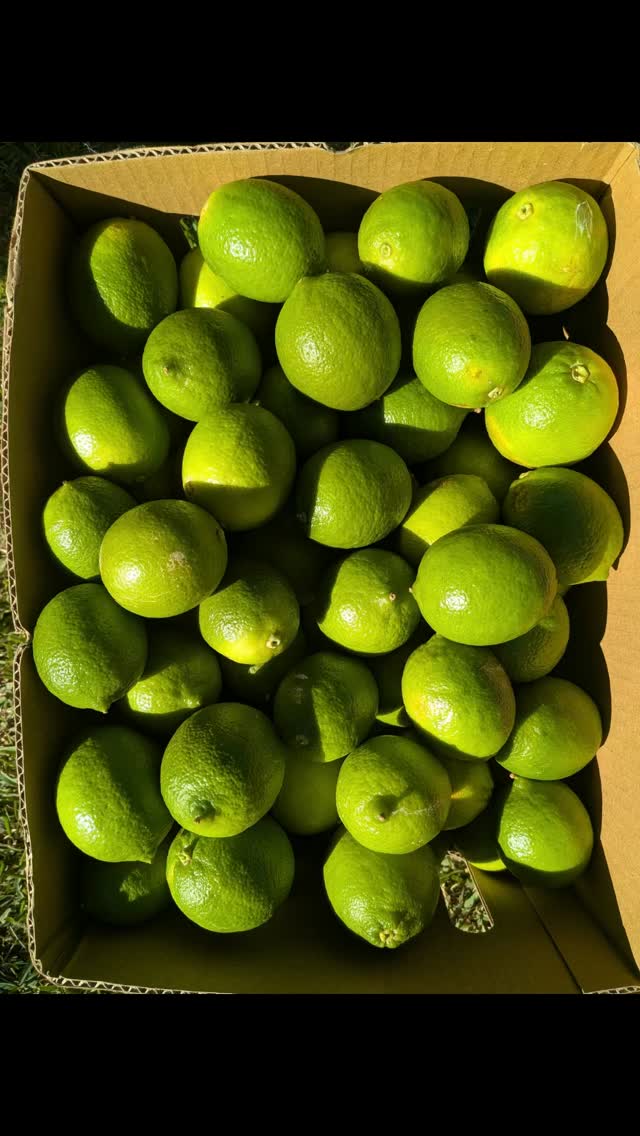 Old Fig Farm