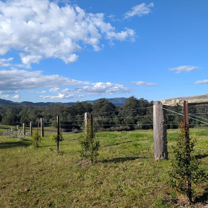Old Fig Farm